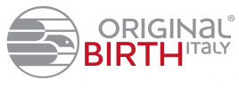 Рычаг подвески BIRTH BR1767