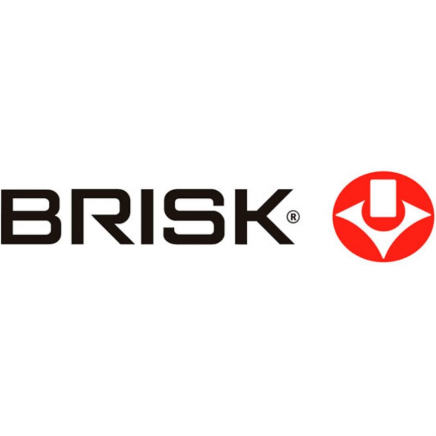 Свеча зажигания компл. (4шт) для а/м ГАЗ CLASSIC BRISK N17-J фото 1