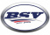 BSV